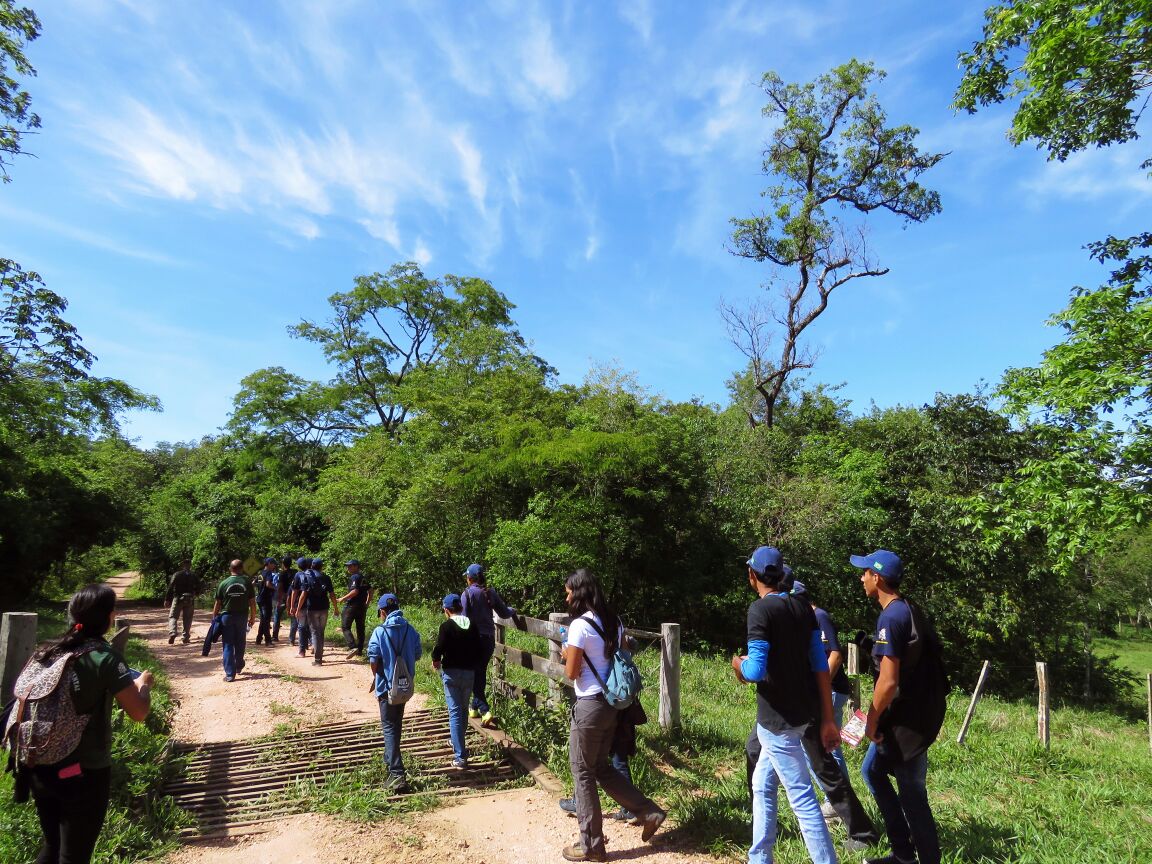 Observação de Aves na Estância Mimosa