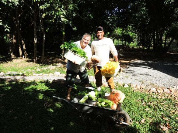 Consultor da Nomad Brasil auxilia colheita de verduras na Estância Mimosa
