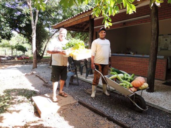 Consultor da Nomad Brasil auxilia colheita de verduras na Estância Mimosa