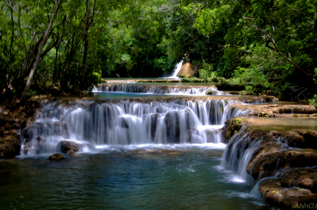 Estância Mimosa Ecoturismo se torna uma RPPN