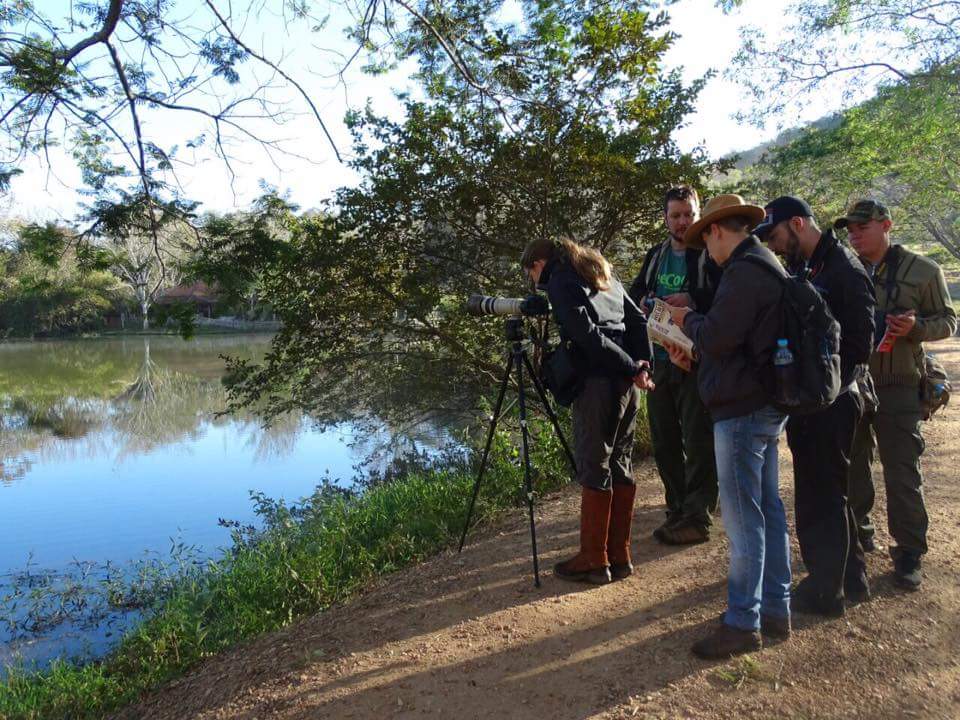 Curso de Passarinhada na Estância Mimosa