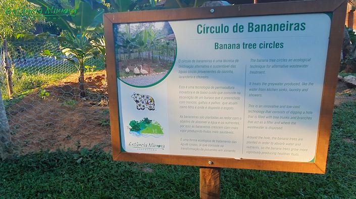 Círculo de Bananeiras na Estância Mimosa Ecoturismo