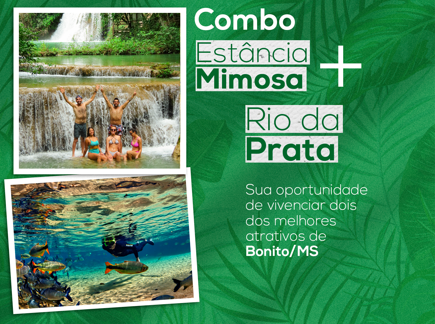 Ccahoeiras e flutuação na Estânca Mimosa e no Rio da Prata com descontos especiais.