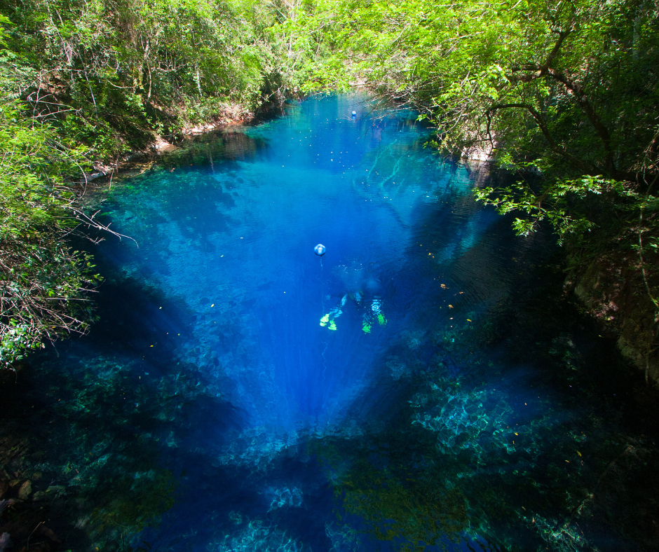 Mergulho e flutuação são os passeios realizados na Lagoa Misteriosa