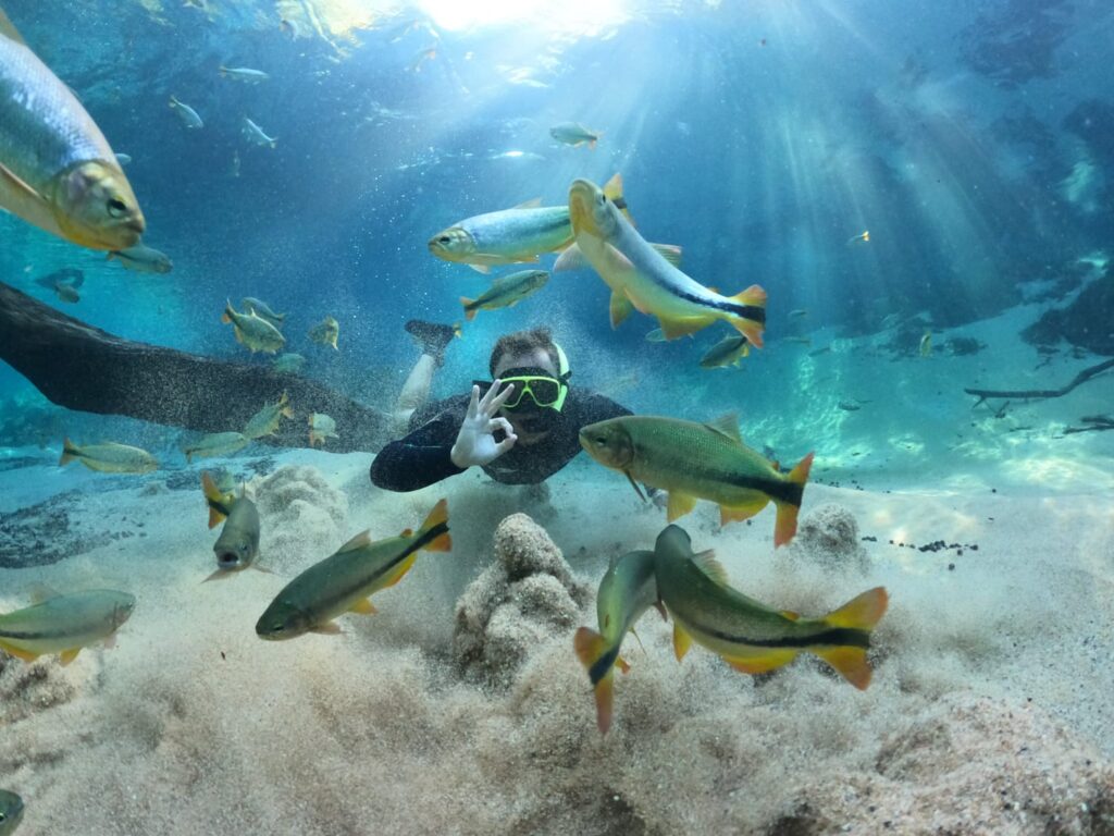 homem flutua nas águas cristalinas ao lado de diversos peixes no Recanto Ecológico Rio da Prata.