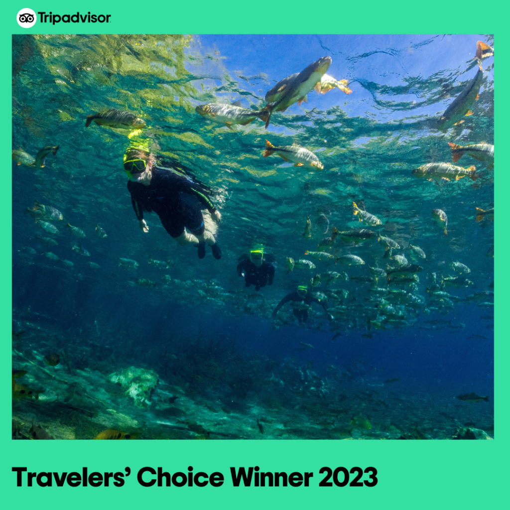 Prêmio Travelers Choice 2023_Recanto Ecológico Rio da Prata