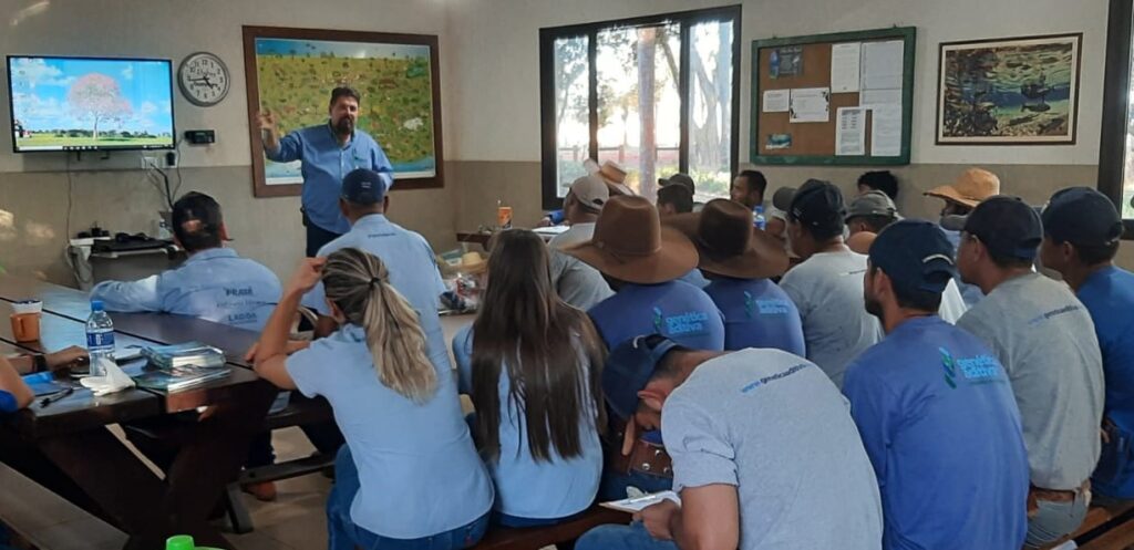 Treinamento Segurança e Saúde no Trabalho no Rio da Prata