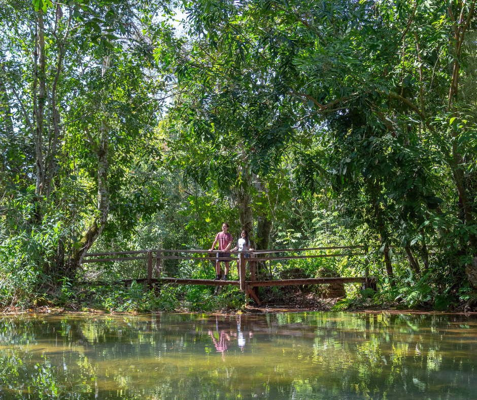 Trilha na natureza preservada da Estância Mimosa.