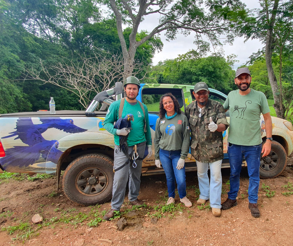Equipe do Instituto Arara Azul realiza visita técnica na Estância Mimosa