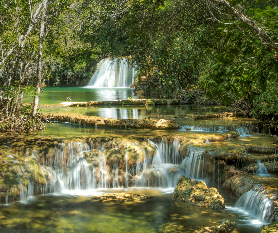 Estância Mimosa: localização, atividades e reservas