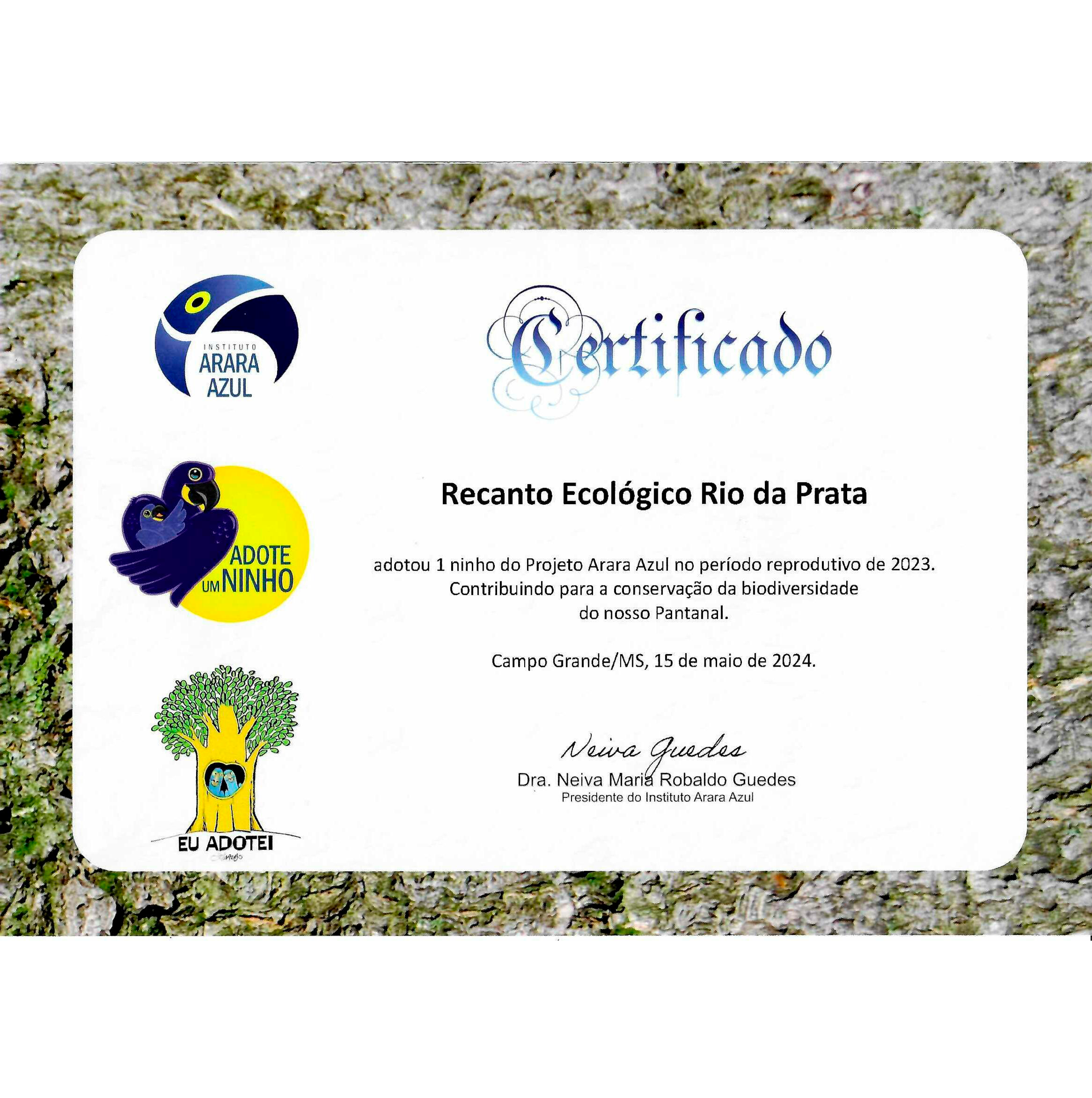 Estância Mimosa recebe certificado de adoção de ninho do Projeto Arara Azul