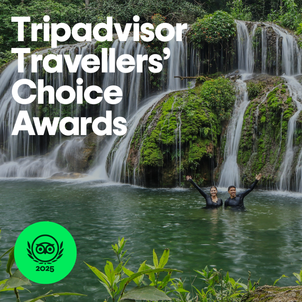 Tripadvisor_Prêmio 2025_Estância Mimosa