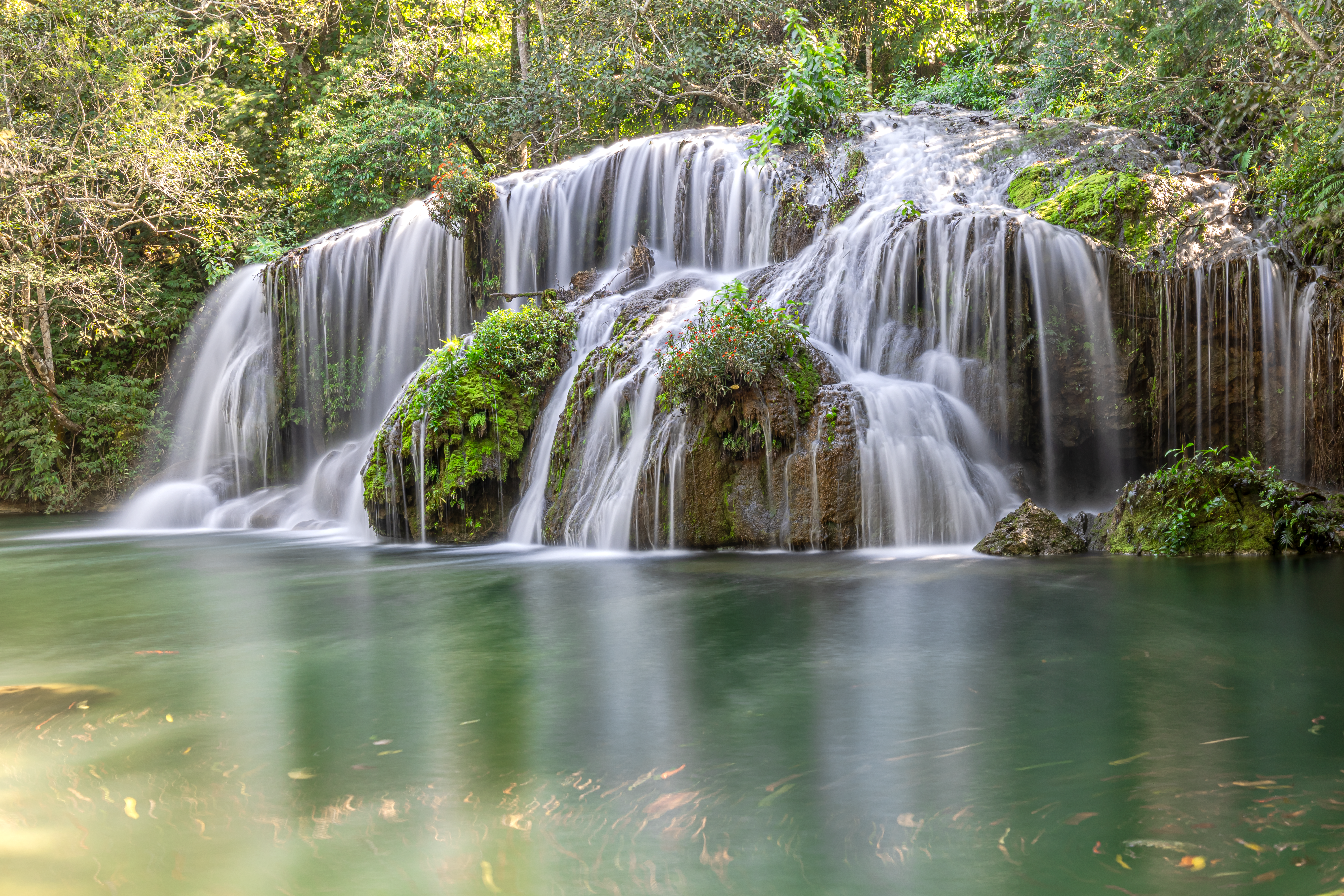 O que fazer em Bonito MS em setembro de 2025: natureza, cachoeiras e experiências na Estância Mimosa