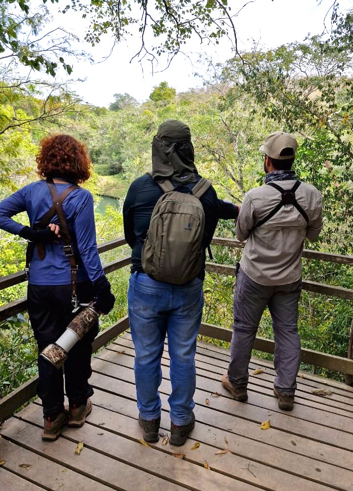 Casal Lívia e Ricardo_observação de aves_Estância Mimosa