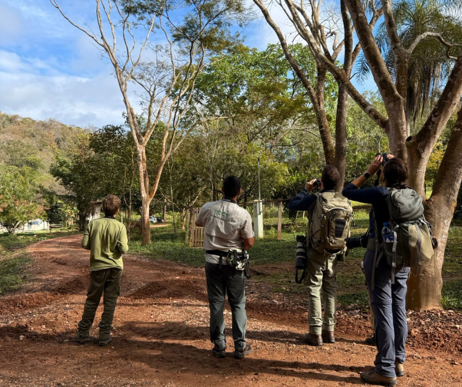 Família Belga se surpreende com diversidade de aves na Estância Mimosa