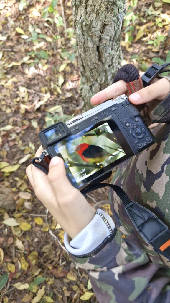 Pais e filhos fazem passeio de observação de aves na Estância Mimosa (5)