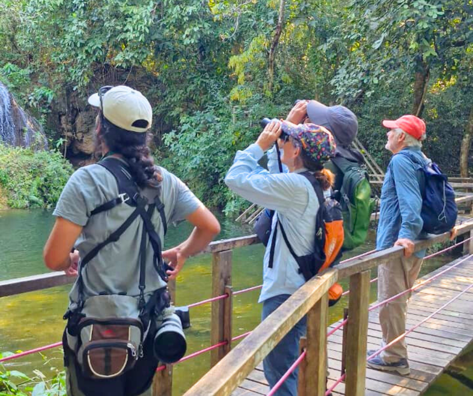 Observação de aves na Estância Mimosa
