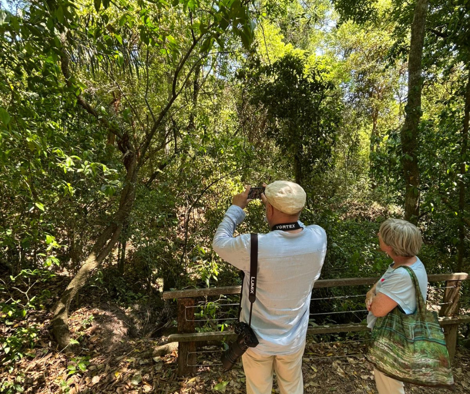 Observação de Aves encanta estrangeiros na Estância Mimosa