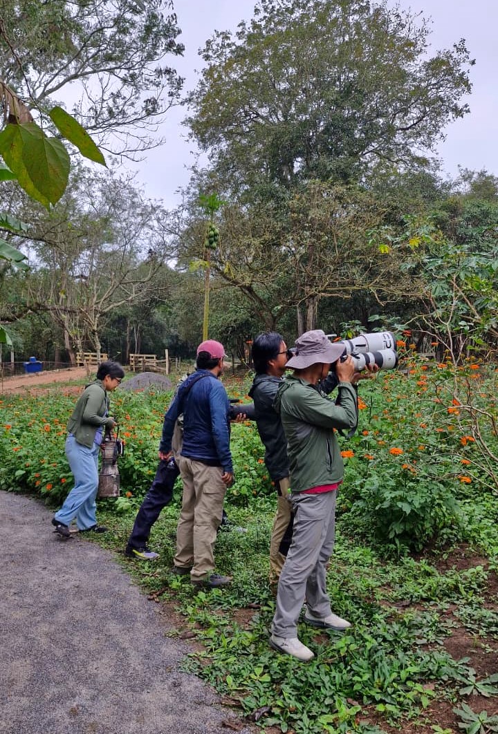 Birdwatching na Estância Mimosa bate recorde com 103 espécies de aves avistadas
