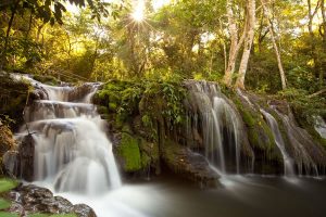 Cachoeira Saí-Andorinha - Foto: Daniel Allen